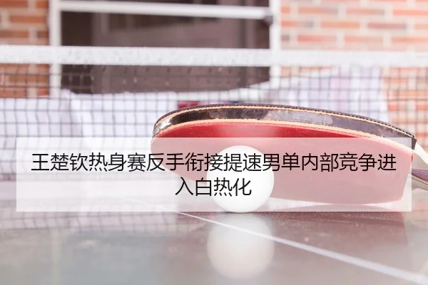 王楚钦热身赛反手衔接提速男单内部竞争进入白热化