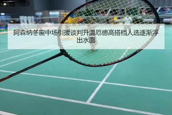 阿森纳冬窗中场引援谈判升温厄德高搭档人选逐渐浮出水面
