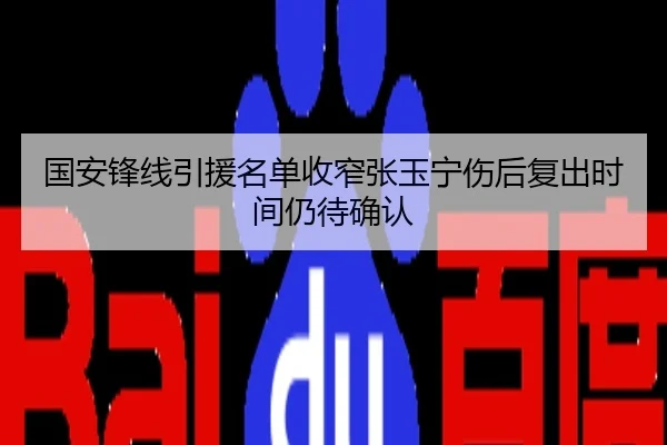 国安锋线引援名单收窄张玉宁伤后复出时间仍待确认